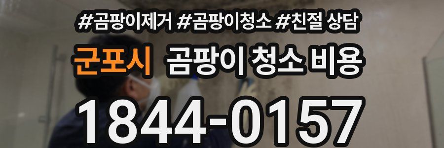군포시 곰팡이 청소 비용