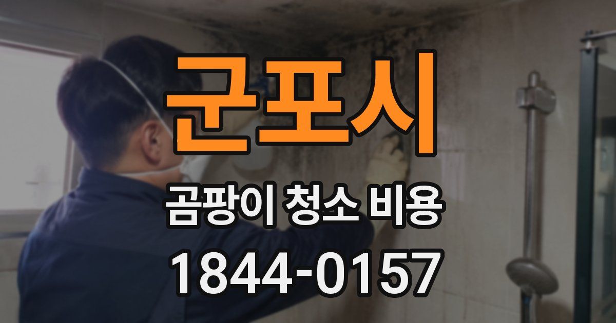 군포시 곰팡이 청소 비용