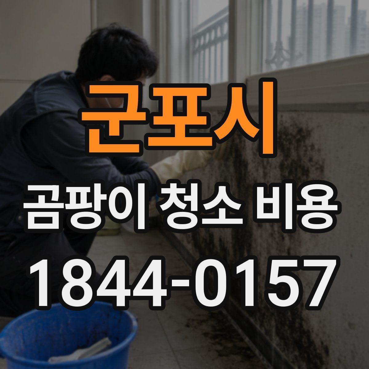 군포시 곰팡이 청소 비용