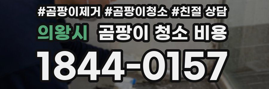 의왕시 곰팡이 청소 비용