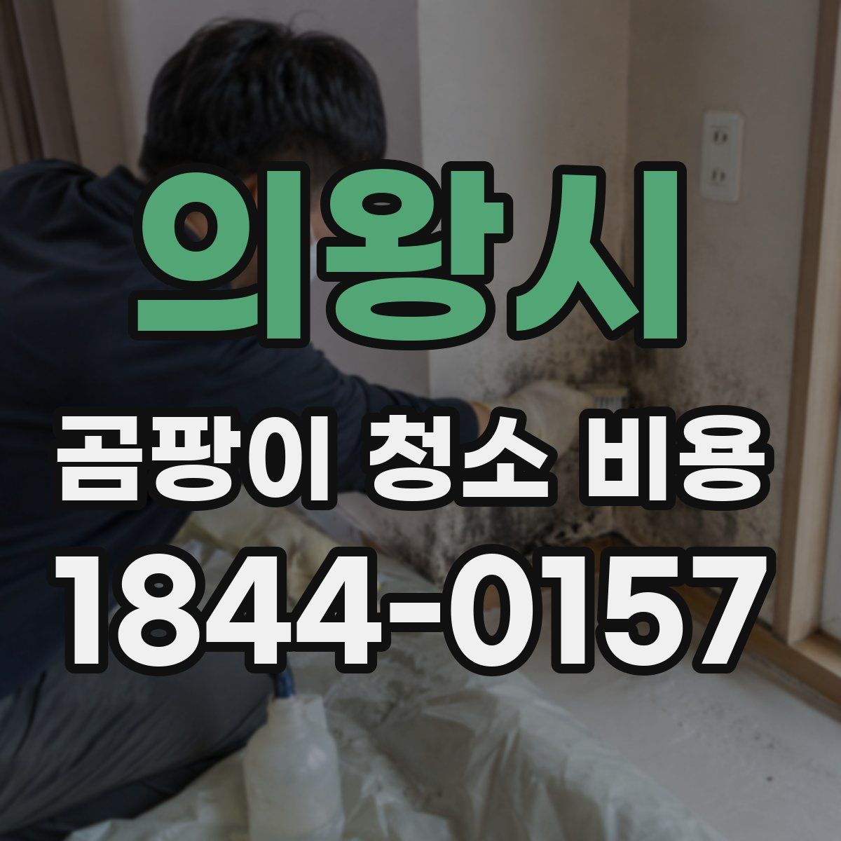 의왕시 곰팡이 청소 비용
