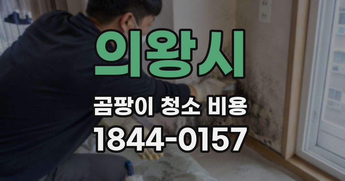 의왕시 곰팡이 청소 비용