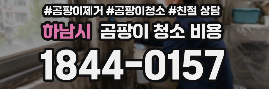 하남시 곰팡이 청소 비용