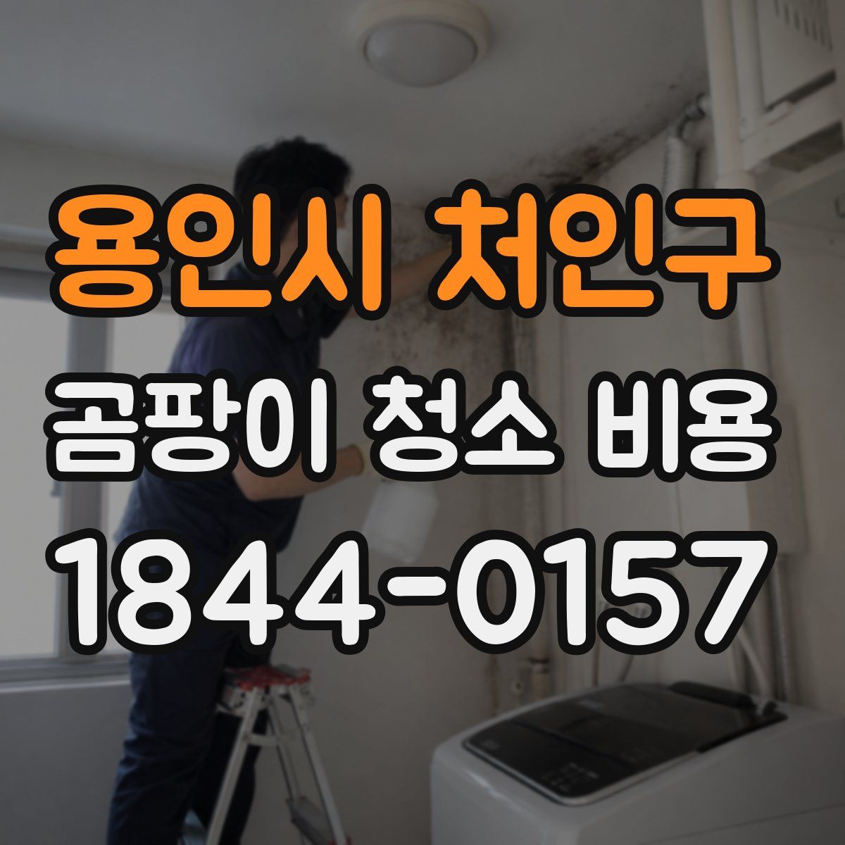 용인시 처인구 곰팡이 청소 비용