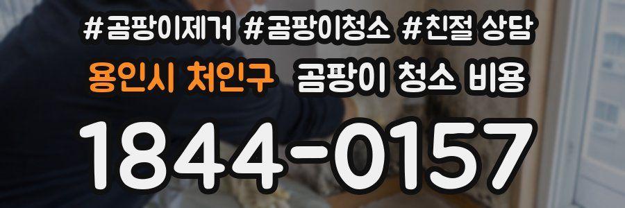용인시 처인구 곰팡이 청소 비용