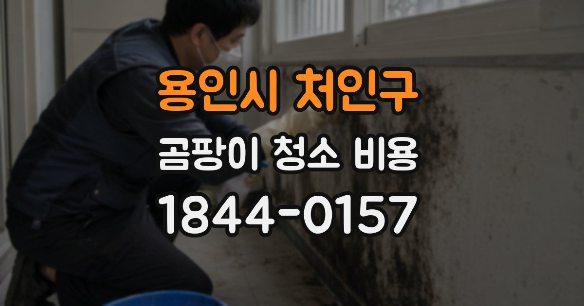 용인시 처인구 곰팡이 청소 비용