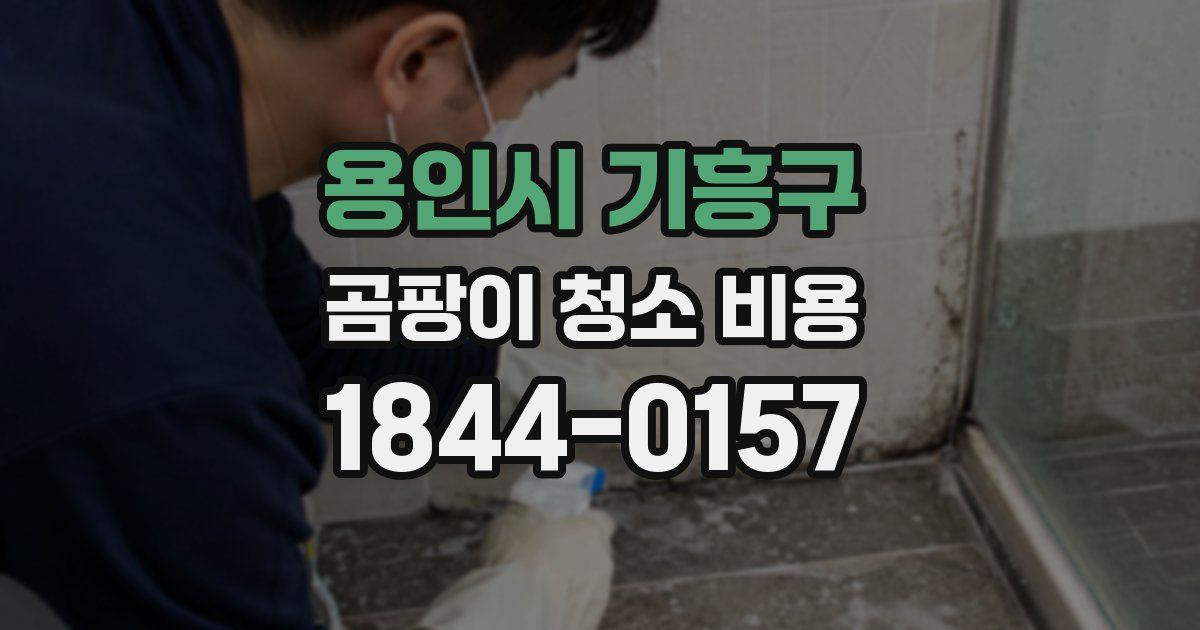 용인시 기흥구 곰팡이 청소 비용