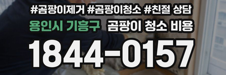 용인시 기흥구 곰팡이 청소 비용
