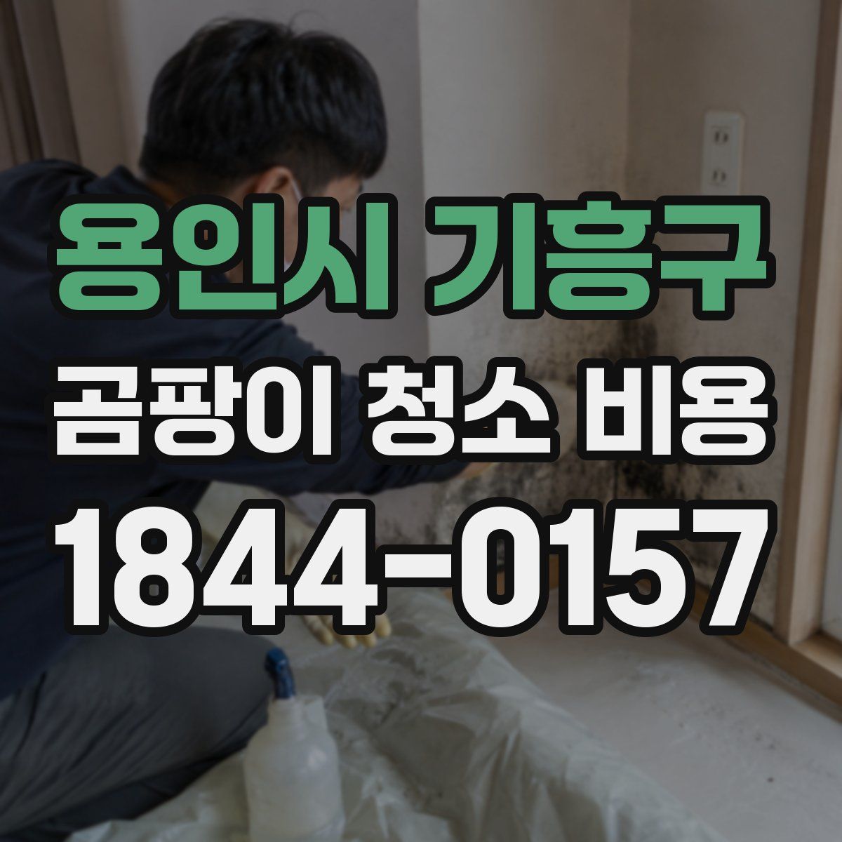 용인시 기흥구 곰팡이 청소 비용