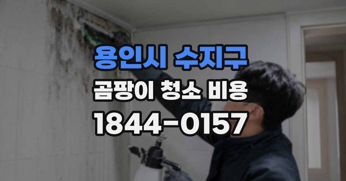 용인시 수지구 곰팡이 청소 비용