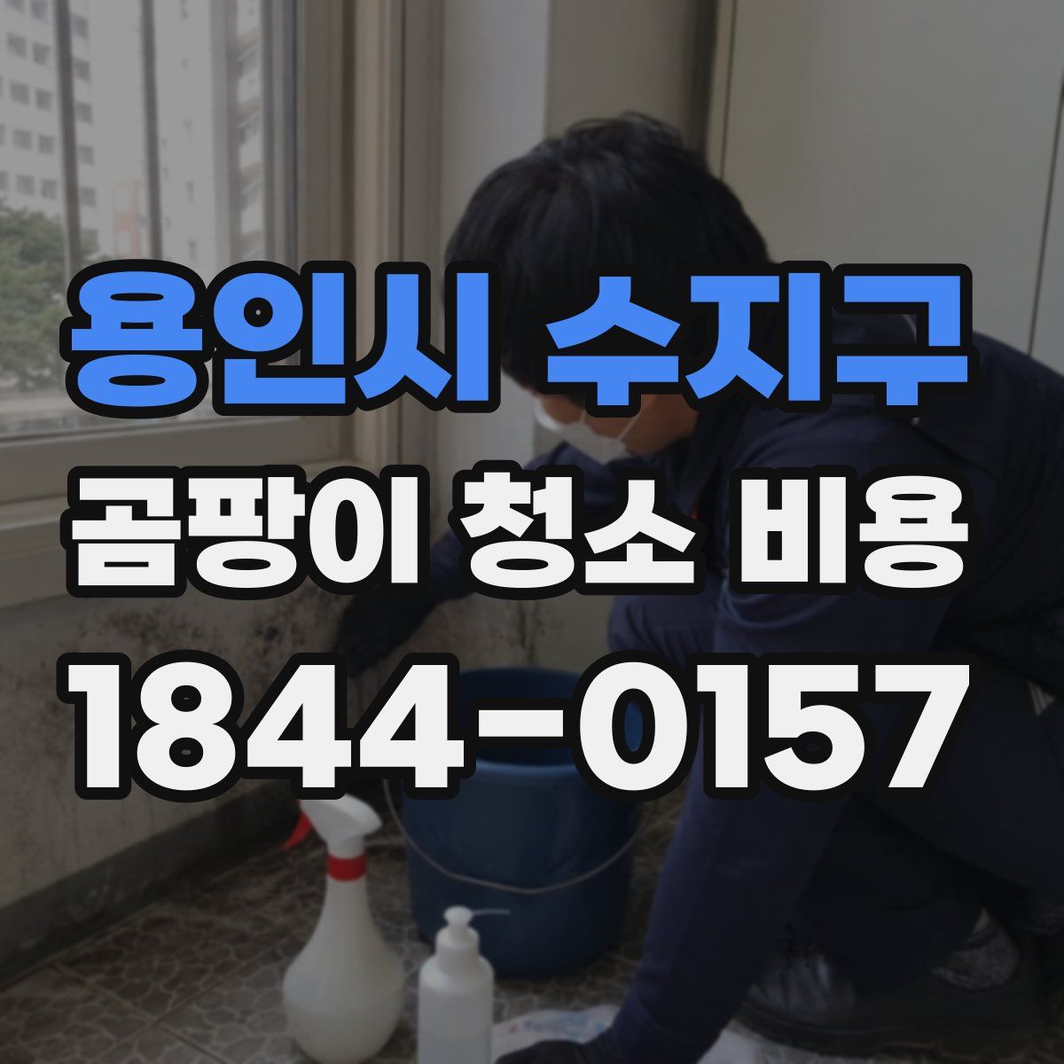 용인시 수지구 곰팡이 청소 비용
