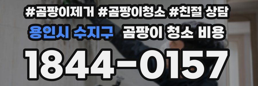 용인시 수지구 곰팡이 청소 비용
