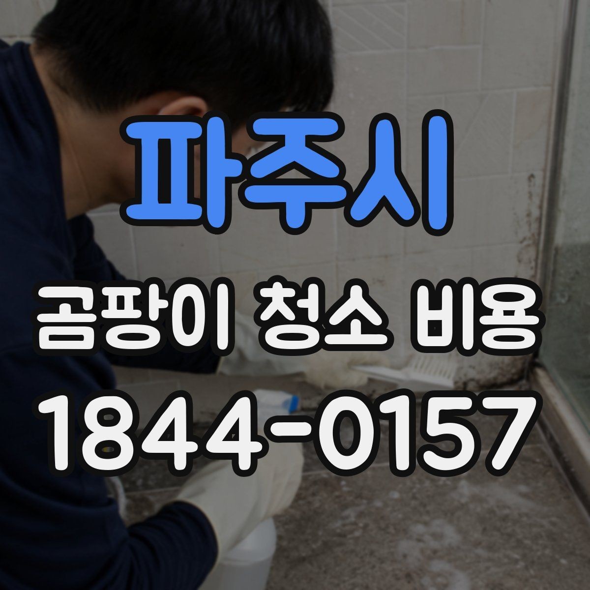 파주시 곰팡이 청소 비용 문의 후 작업 전 확인사항