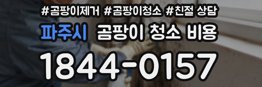 파주시 곰팡이 청소 비용
