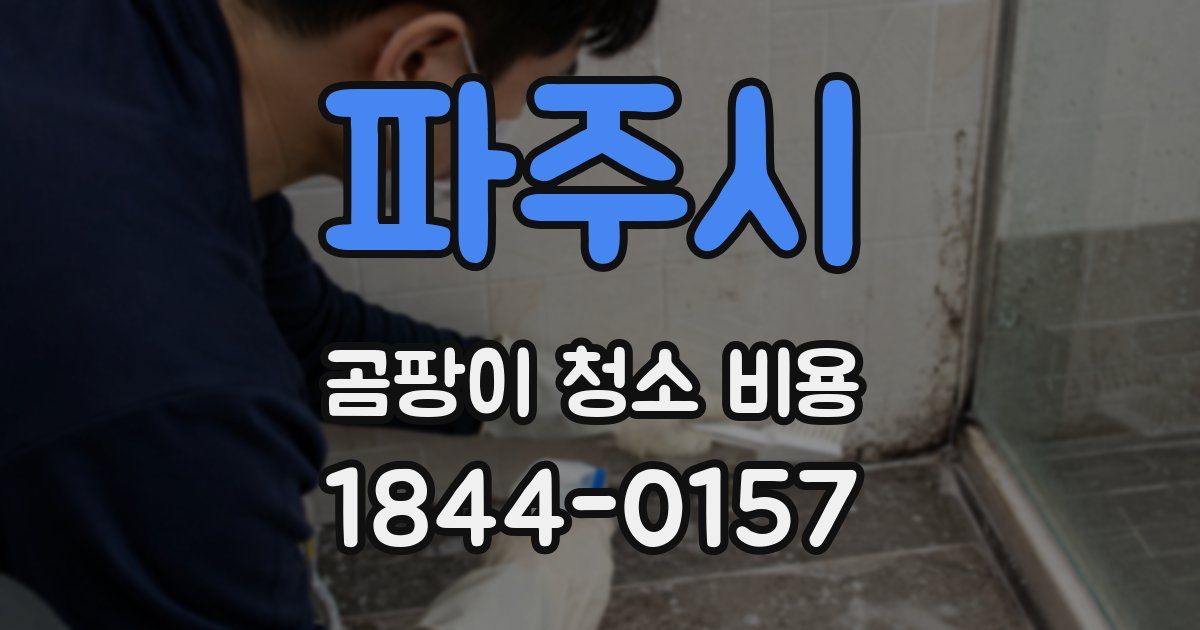 파주시 곰팡이 청소 비용