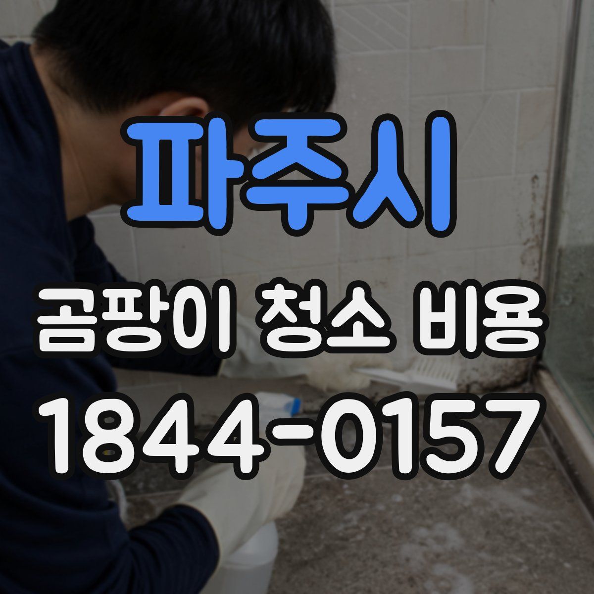 파주시 곰팡이 청소 비용