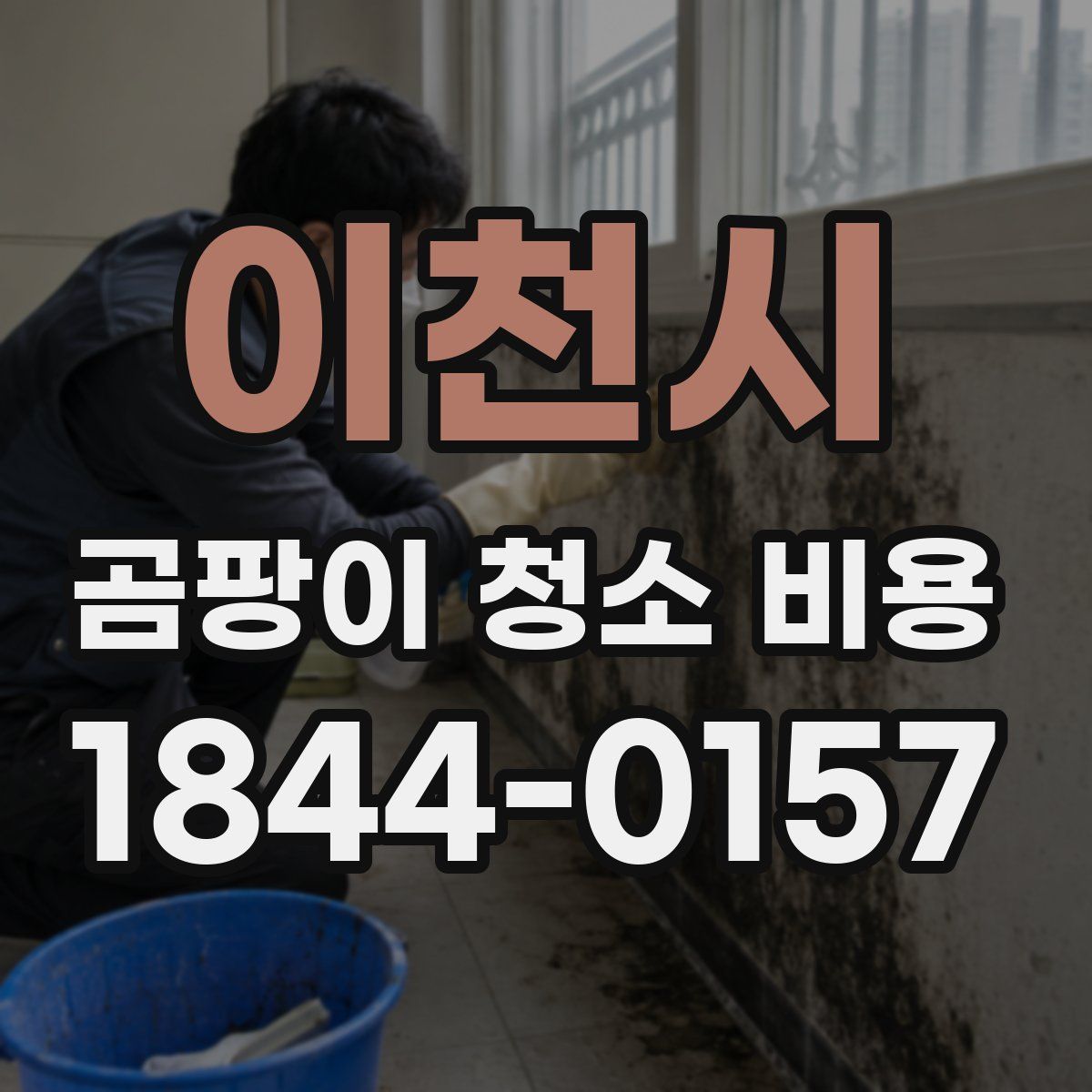 이천시 곰팡이 청소 비용