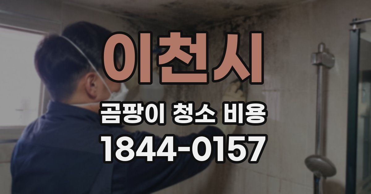 이천시 곰팡이 청소 비용