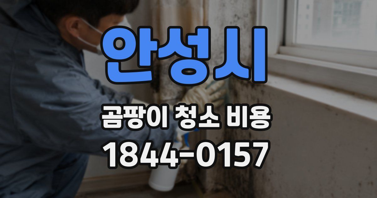 안성시 곰팡이 청소 비용