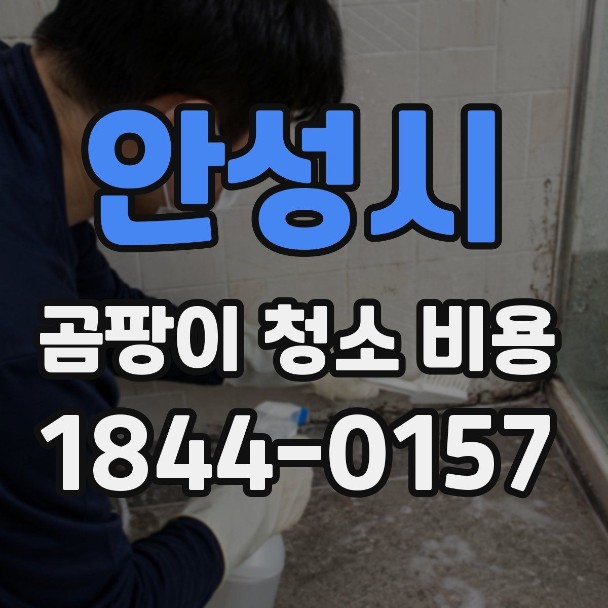 안성시 곰팡이 청소 비용