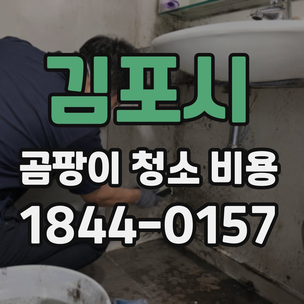 김포시 곰팡이 청소 비용