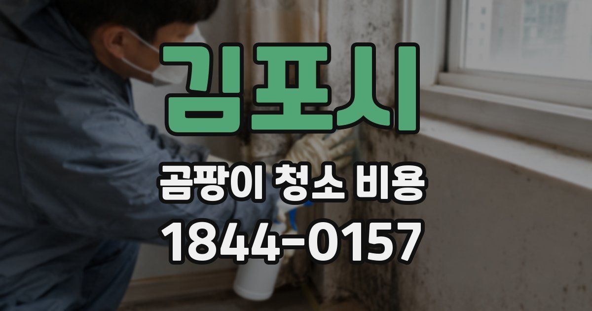 김포시 곰팡이 청소 비용