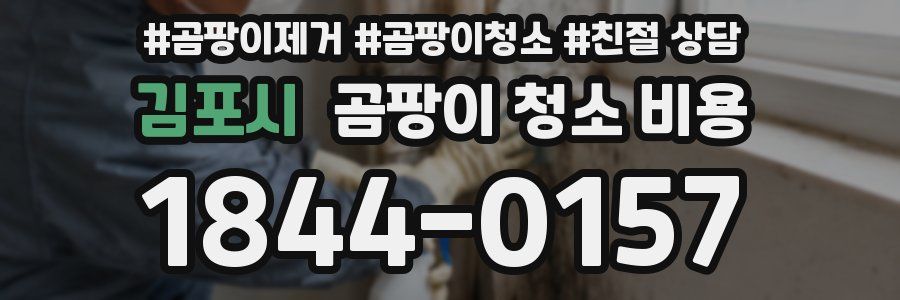 김포시 곰팡이 청소 비용