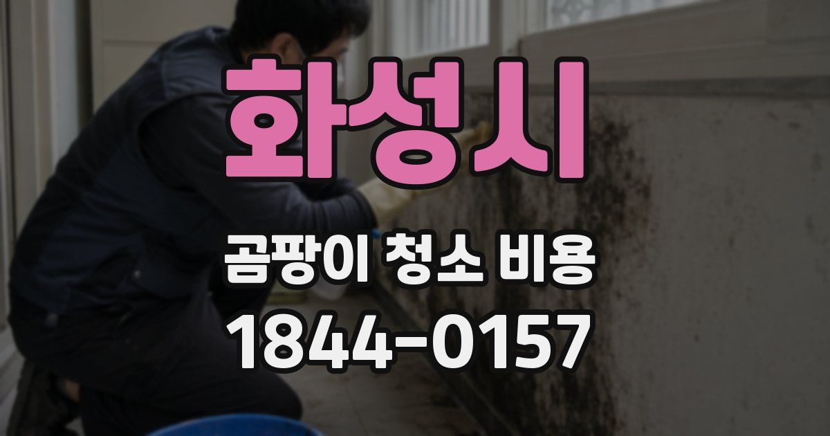 화성시 곰팡이 청소 비용