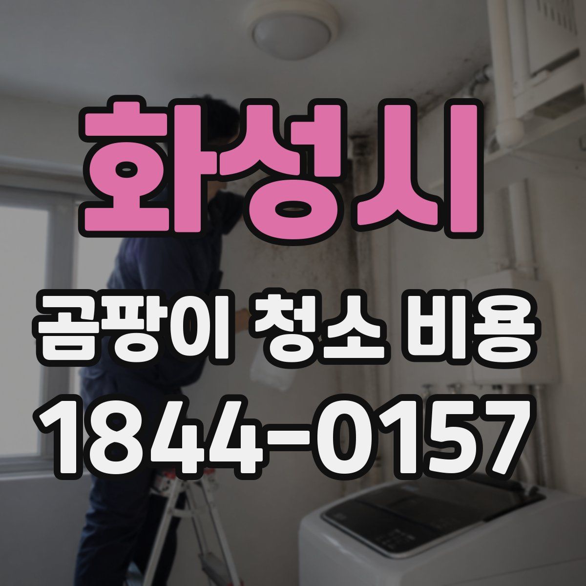 화성시 곰팡이 청소 비용
