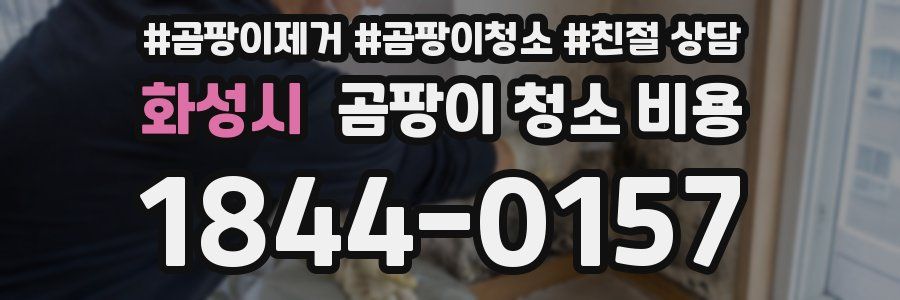 화성시 곰팡이 청소 비용