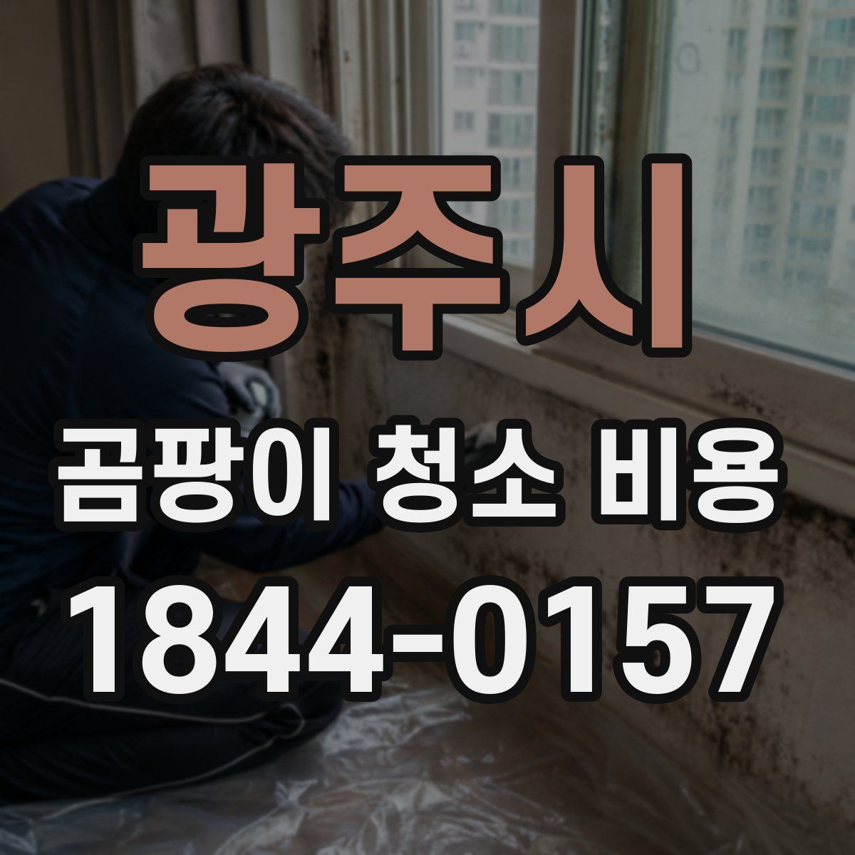 광주시 곰팡이 청소 비용