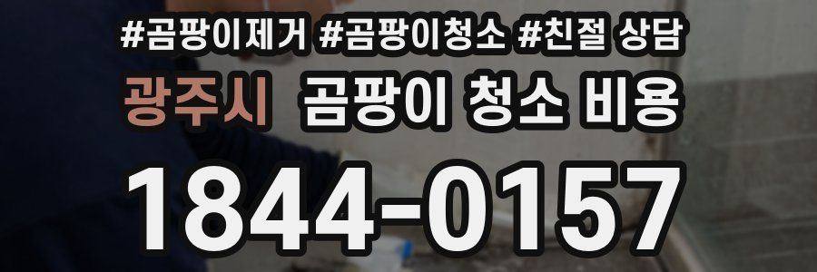 광주시 곰팡이 청소 비용