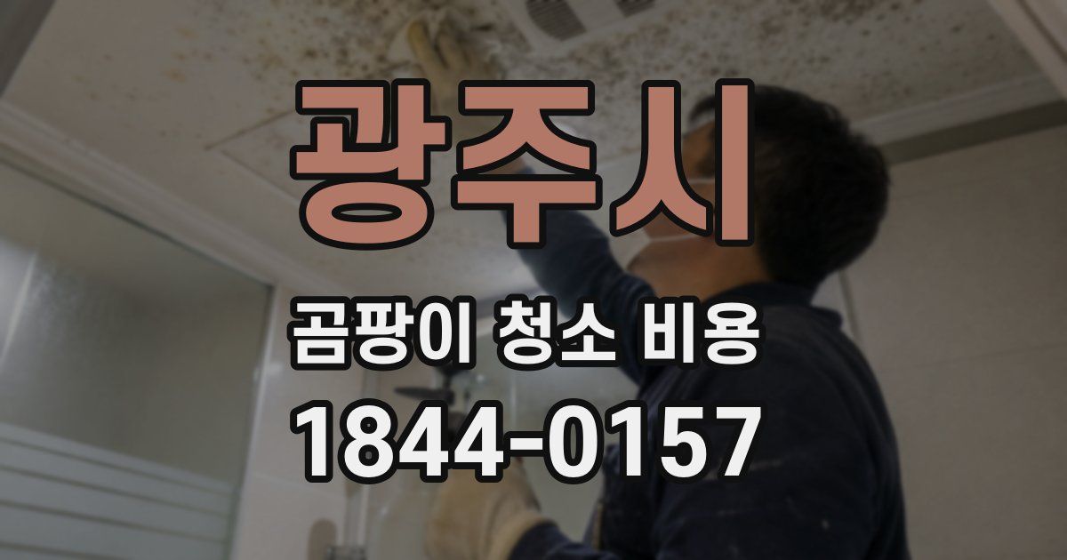 광주시 곰팡이 청소 비용