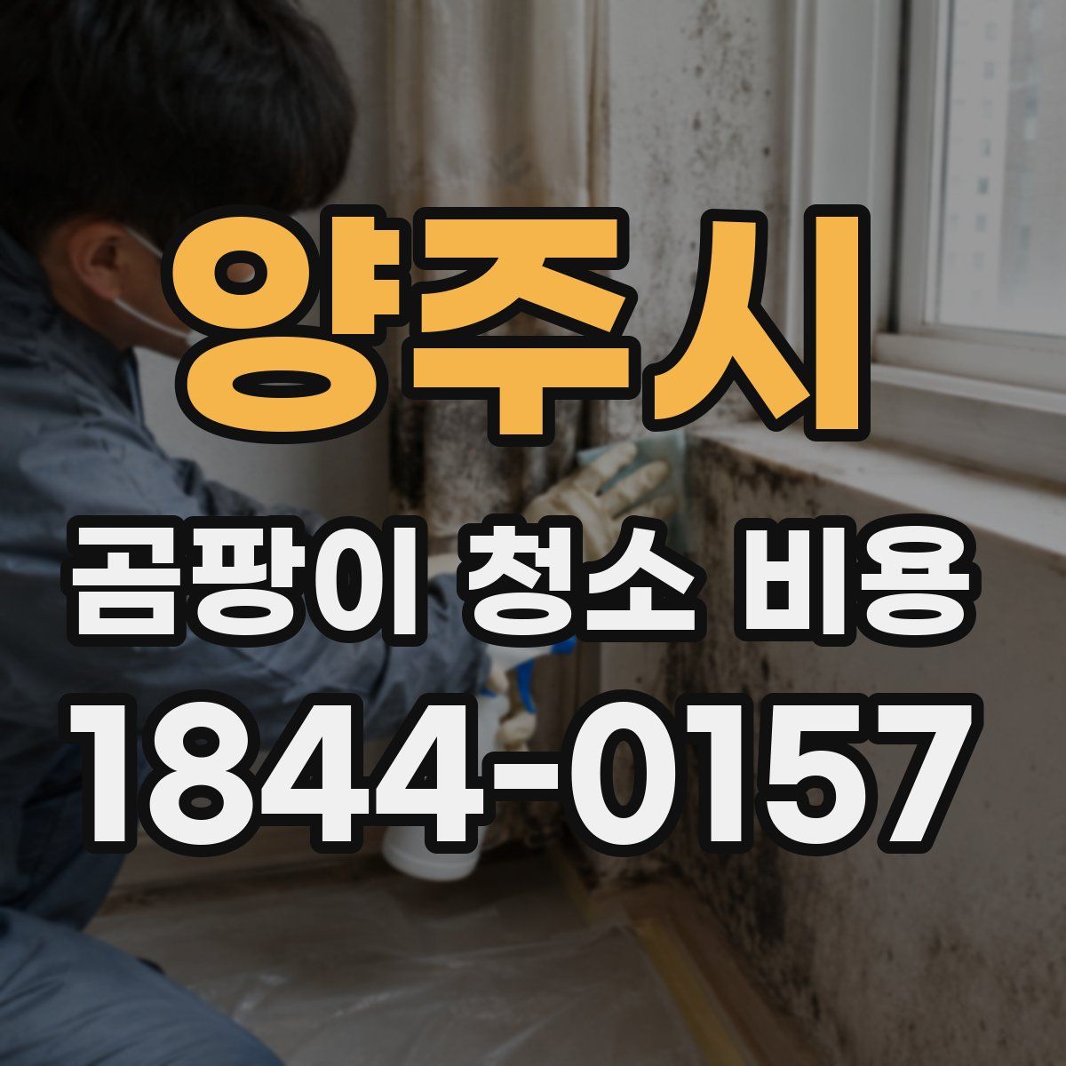 양주시 곰팡이 청소 비용