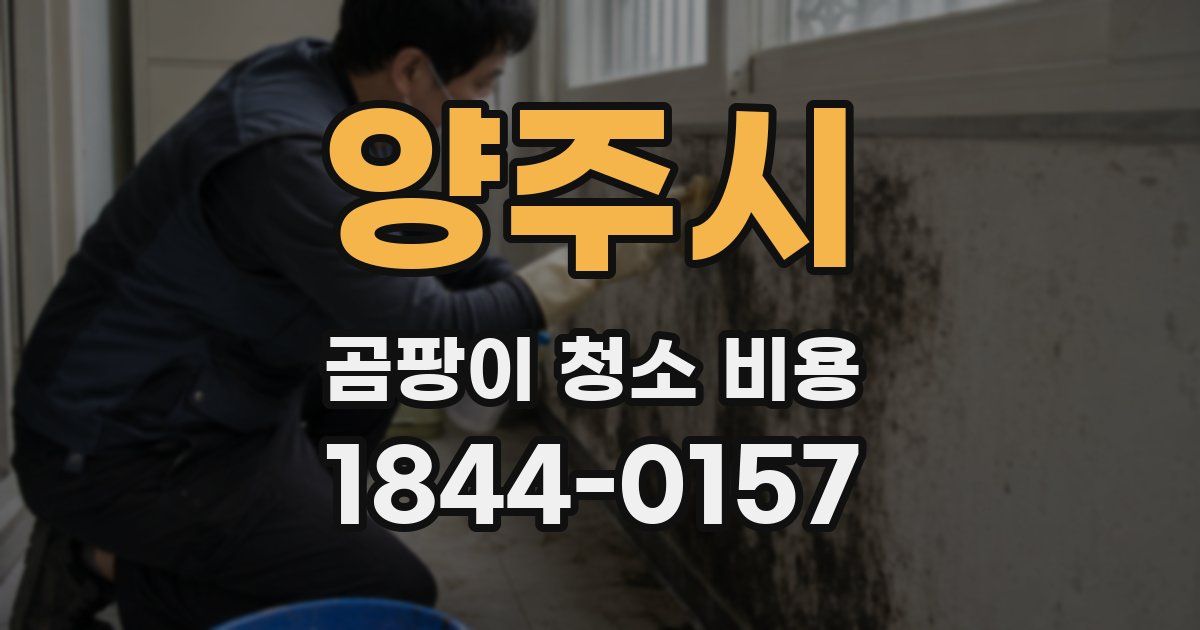 양주시 곰팡이 청소 비용