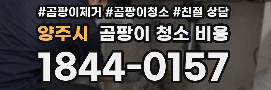 양주시 곰팡이 청소 비용