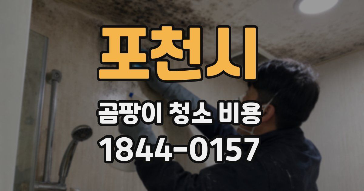 포천시 곰팡이 청소 비용