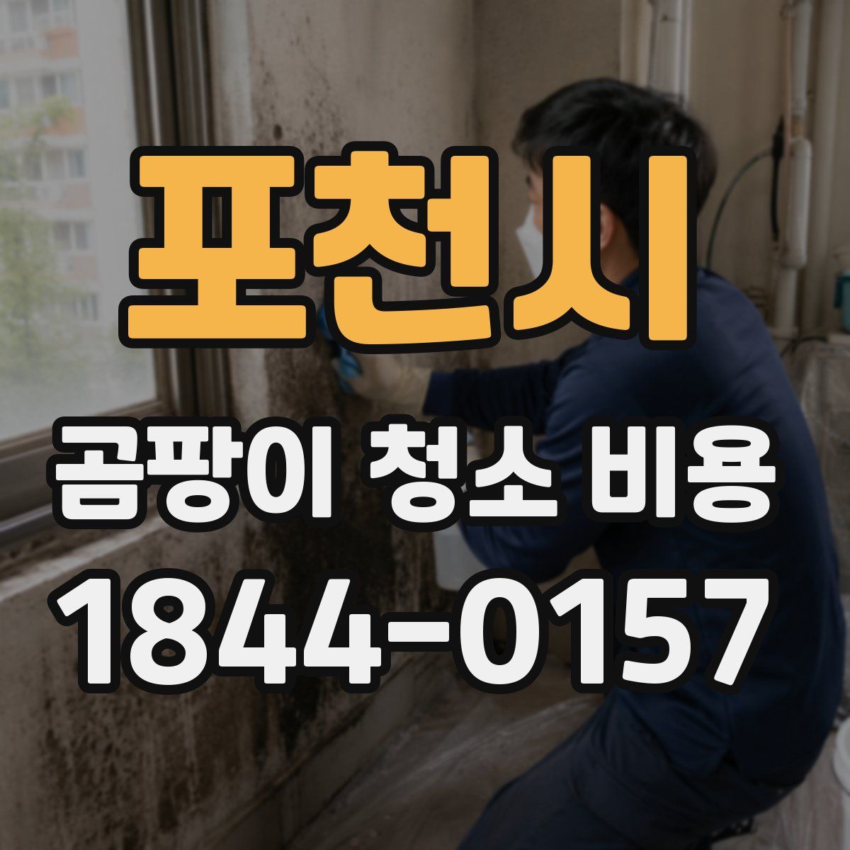 포천시 곰팡이 청소 비용