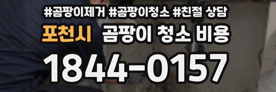 포천시 곰팡이 청소 비용