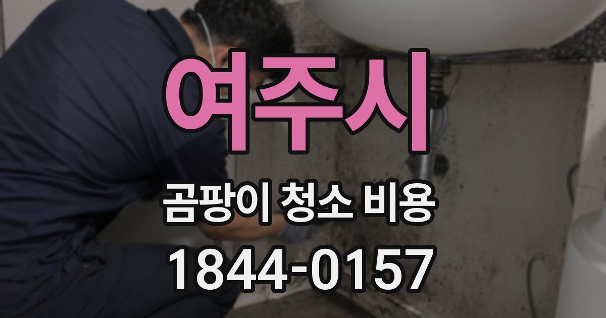 여주시 곰팡이 청소 비용