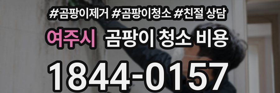 여주시 곰팡이 청소 비용