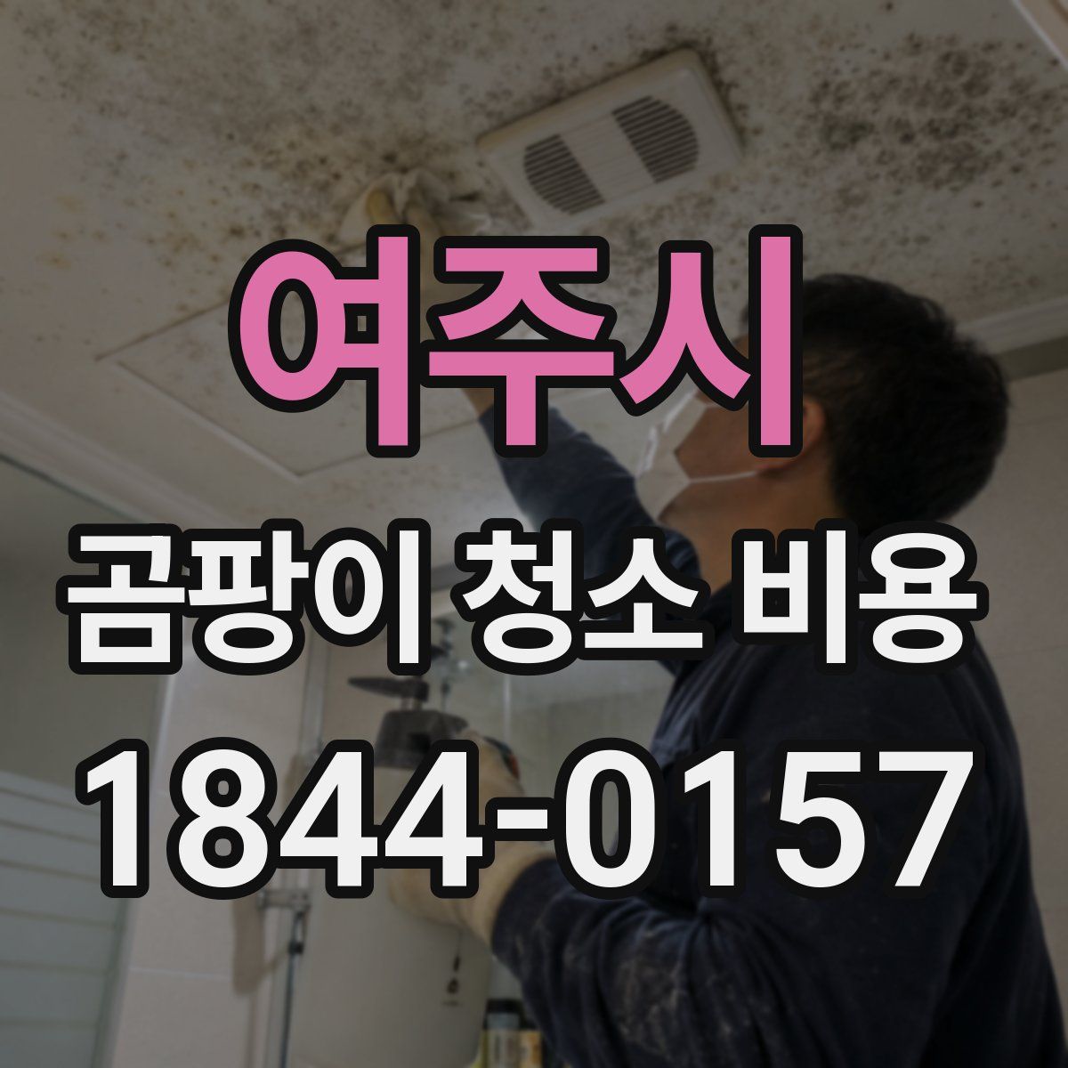 여주시 곰팡이 청소 비용