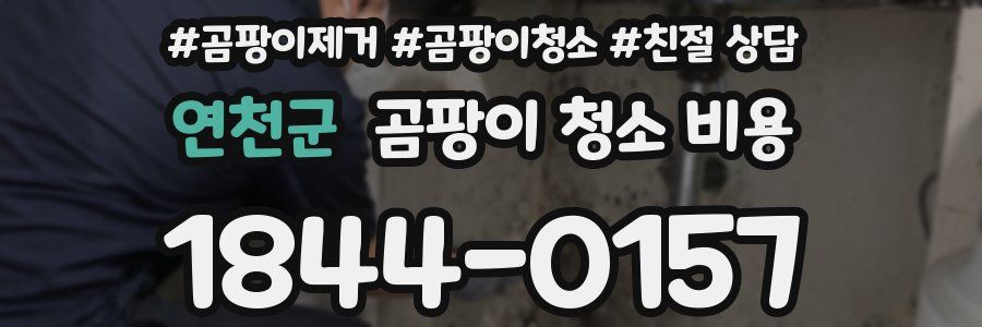 연천군 곰팡이 청소 비용
