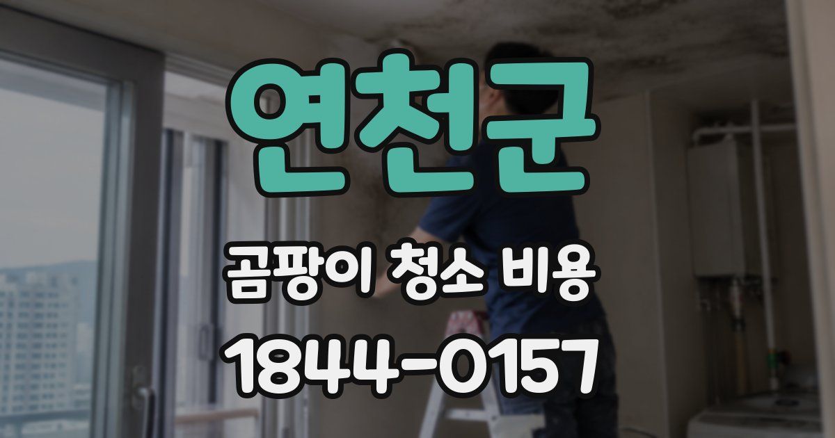 연천군 곰팡이 청소 비용