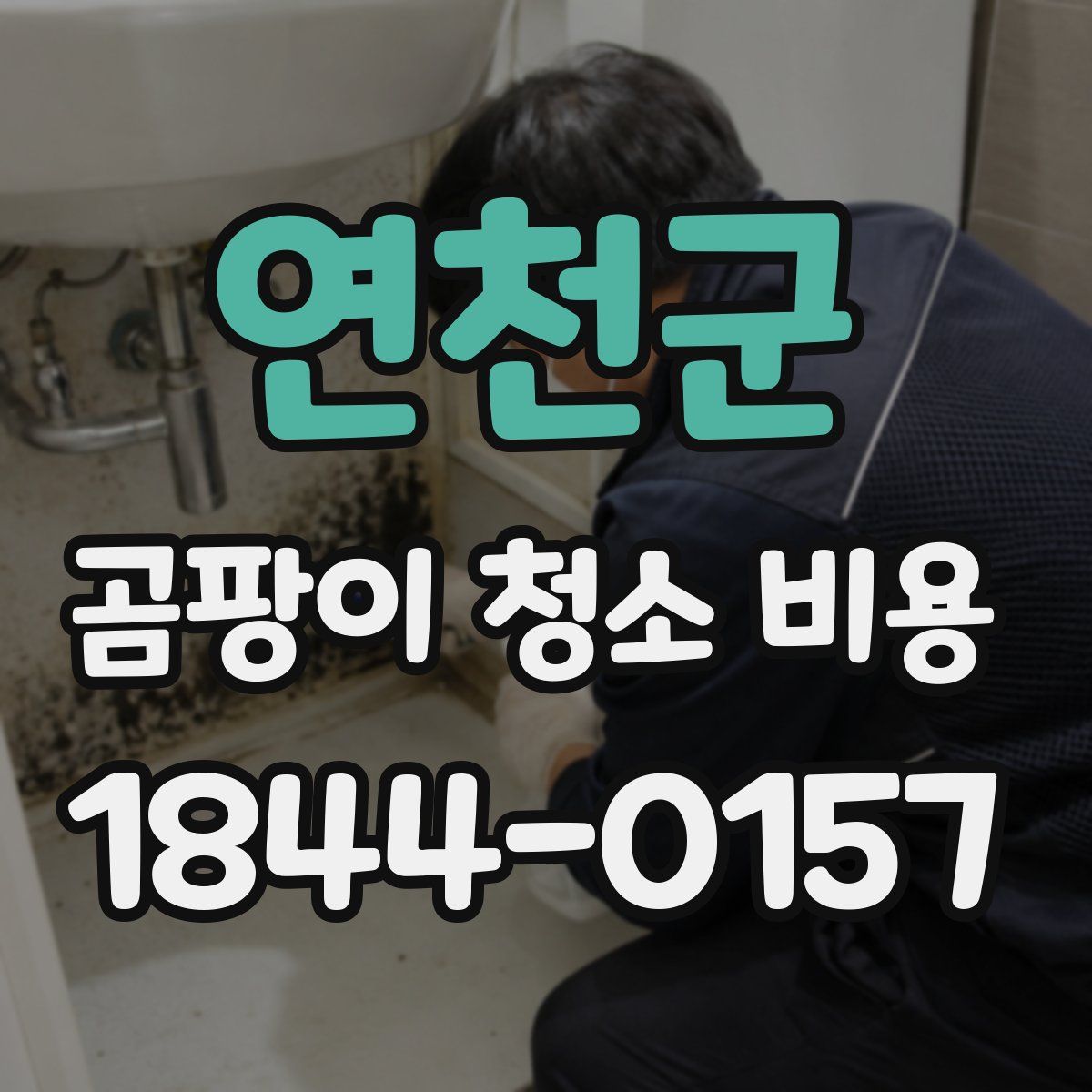 연천군 곰팡이 청소 비용