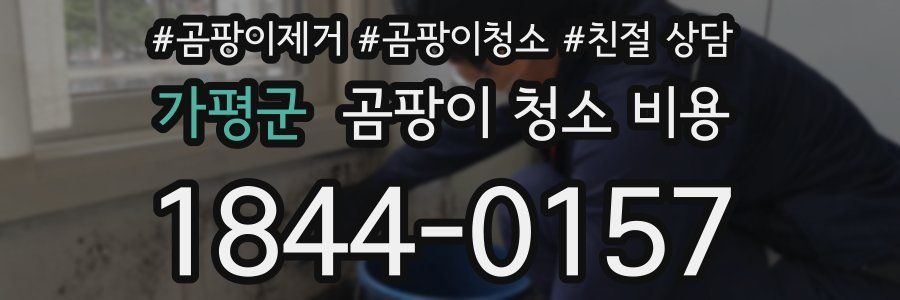 가평군 곰팡이 청소 비용