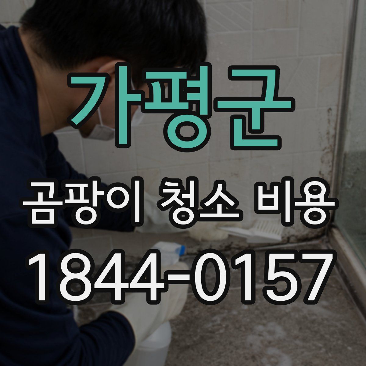 가평군 곰팡이 청소 비용