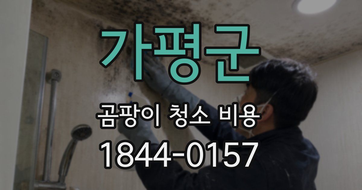 가평군 곰팡이 청소 비용