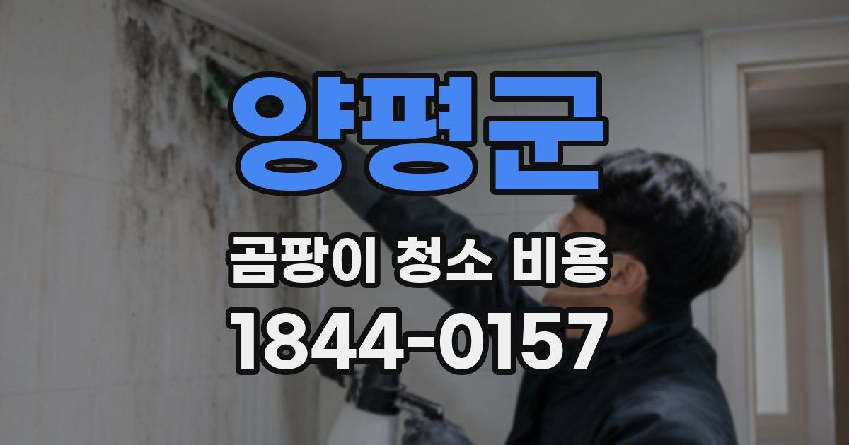 양평군 곰팡이 청소 비용