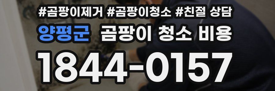양평군 곰팡이 청소 비용